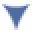 Roederconsulting Icon
