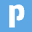 Pipl Icon