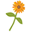 Jillian's Drawers Icon