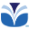 Viva Voyage Icon