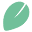 Craftginclub Icon