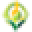 Buddhas Herbs Icon