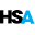 Hsanyc Icon
