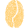 Pact Coffee Icon