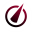 Htgsports Icon