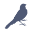 Gowildeducation Icon