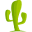 CactusVPN Icon