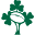 IRFU Icon
