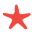 Sea Star Beachwear Icon