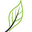 Edge Entity Icon