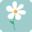 Daisy Baby Shop Icon