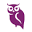 Skin Owl Icon