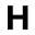 Gary Hustwit Icon
