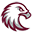 Augsburgfootballcamps Icon