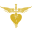 Bon Jovi Icon