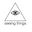 Seeing Thngs Icon