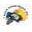 Store.duckdown.com Icon