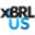 Xbrl Icon