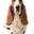 Hush Puppies Australia Icon
