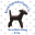 Blackdogandgingercat Icon