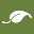 PetAlive Icon