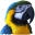 Parrot Essentials Icon