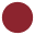 Atomic Disc Icon