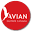 Avianguitars Icon