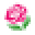 Capitol Hill Florist & Gifts Icon
