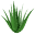 Ibizaloe Icon