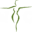 ContourMd Icon