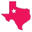 Texas Two Boutique Icon