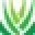 Magic Of Aloe Icon