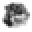 Rottweiler Dog Breed Store Icon