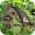 Butterfly Garden Icon