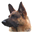 ActiveDogs Icon