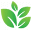 Kratom-K Icon
