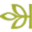 Ancestry Icon