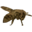 Beehavenfl Icon