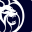 MGM Mirage Icon