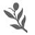 Branche-dolive Icon