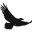 Soarnc Icon