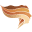 Painted Earth Skincare & Cosmetics Icon