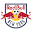 New York Red Bulls Icon