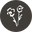 Rosy Rings Icon
