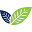 Previnex Icon