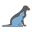 Vetprofessionals Icon