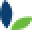 HealthSnap CA Icon