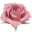 Sugarsugar Icon