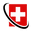Micro Swiss Icon